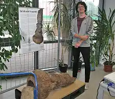 Kevin Kyburz neben seinem wissenschaftlichen Poster und dem Laternenfragment (Foto: Hermann Witte)