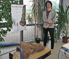 Kevin Kyburz neben seinem wissenschaftlichen Poster und dem Laternenfragment (Foto: Hermann Witte)