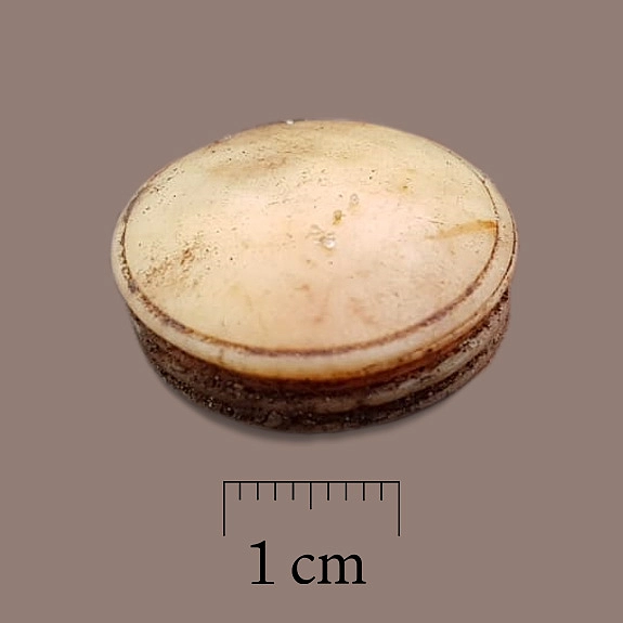 Deckel eines kleinen Knochendöschens