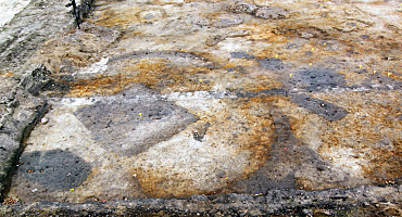 Kreisgraben mit kastenförmiger Grube in seiner Mitte (Foto: Landesarchäogogie)
