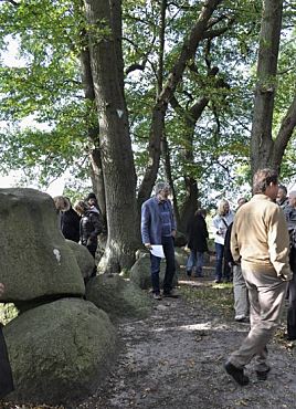 Steingrab Düngel in Meyenburg