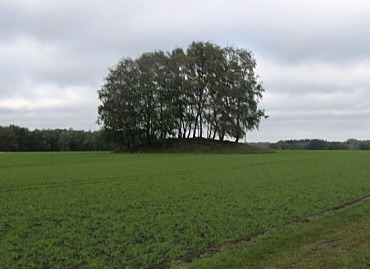 Hügelgräberfeld bei Stühren im Landkreis Diepholz