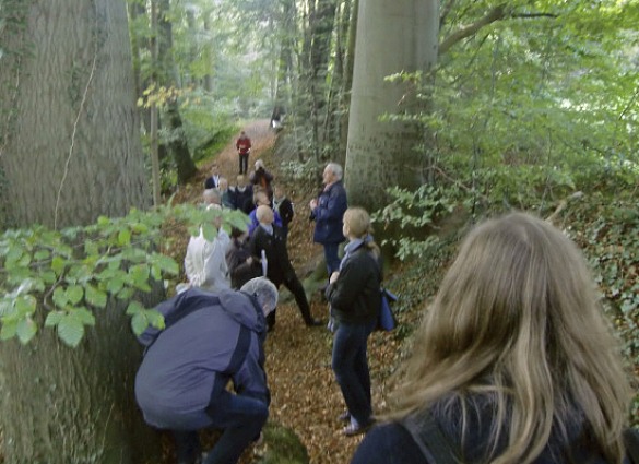 Am Burgwall Heiligenberg bei Homfeld